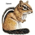 thumbnail image 2 of CafePress - Ground Squirrel Chipmunk Mug - 11 oz Ceramic Mug - Novelty Coffee Tea Cup, 2 of 4