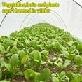 thumbnail image 3 of Antifreeze Floating Row Cover 10' × 52' Non-woven Fabric Plant Cover Greenhouse Frost Protection, 3 of 11