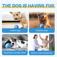 thumbnail image 4 of Juguete para perros con movimiento automático, pelota interactiva que rebota con modos de vibración y salto para jugar en interiores y exteriores, limpiar los dientes y estimular la mente, 4 of 7