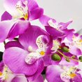 thumbnail image 5 of Flores de orquídeas artificiales con maceta blanca de plástico Flores falsas de Phalaenopsis con maceta Flor artificial para la decoración de la oficina de la boda en casa TUNC Sencillez, 5 of 5