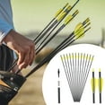 thumbnail image 1 of Other, 29 Inch Practice Spine 400 With Removable Tips For & & Traditional Bow (12 Pcs), Outdoor & Sport, 1 of 3