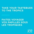 thumbnail image 2 of Sparkling Ice Coconut Pineapple 503ml, 2 of 7