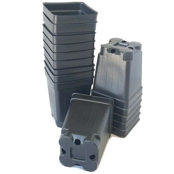 Landmark Plastic 2.5" x 2.5" x 3.5" Square Black Plastic Plant Pot with Drainage Holes, 50 Count