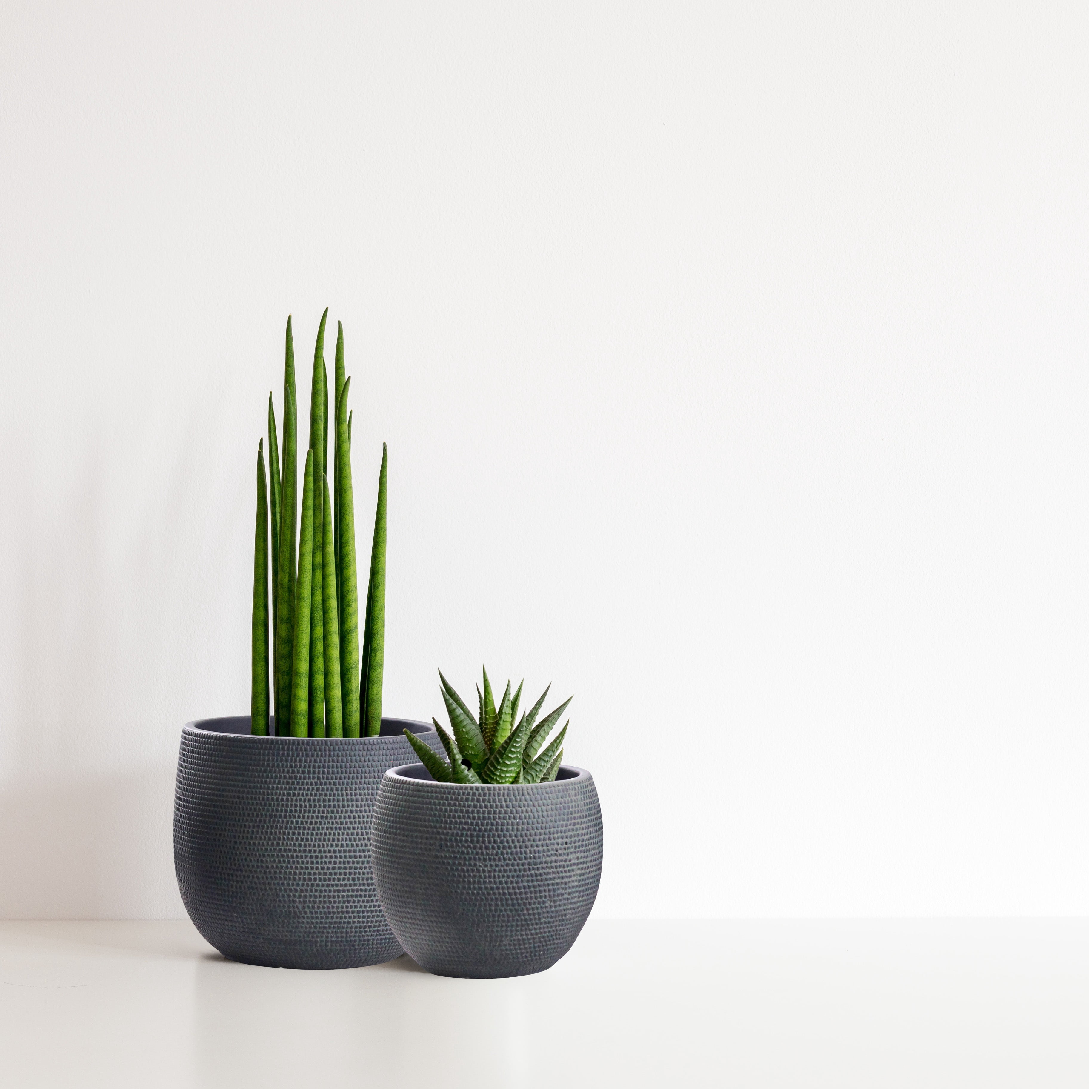 Olly & Rose Barcelona Ceramic Plant Pot Set 2 - Indoor & Outdoor Planters (Black)