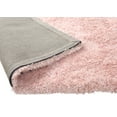 thumbnail image 6 of Chesapeake Microfiber Polyester Shag Blush Canilla Area Rug (5'x7'), 6 of 6