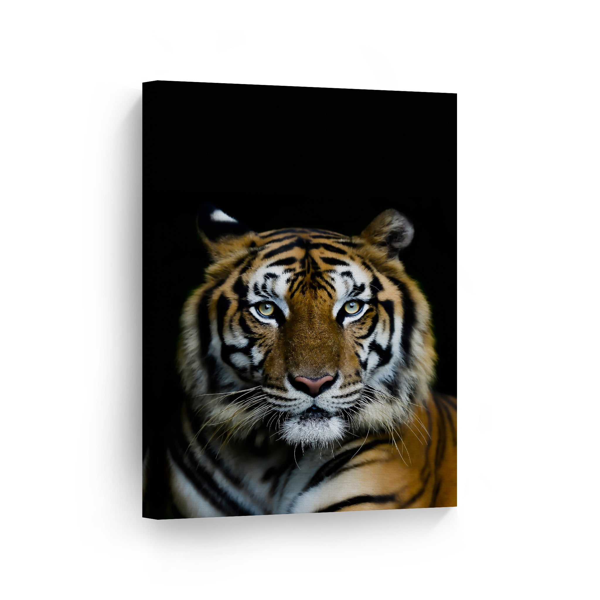 Tiger In Snow Deluxe Printing Small Purse Portable Receiving Bag 