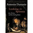 thumbnail image 2 of Looking for Spinoza, (Paperback), 2 of 2