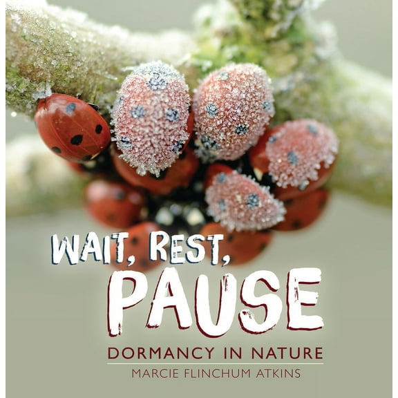 Wait, Rest, Pause: Dormancy in Nature, (Paperback)