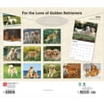 thumbnail image 2 of For the Love of Golden Retrievers | 2026 14x24" Wall Calendar | Plastic-Free, 2 of 9