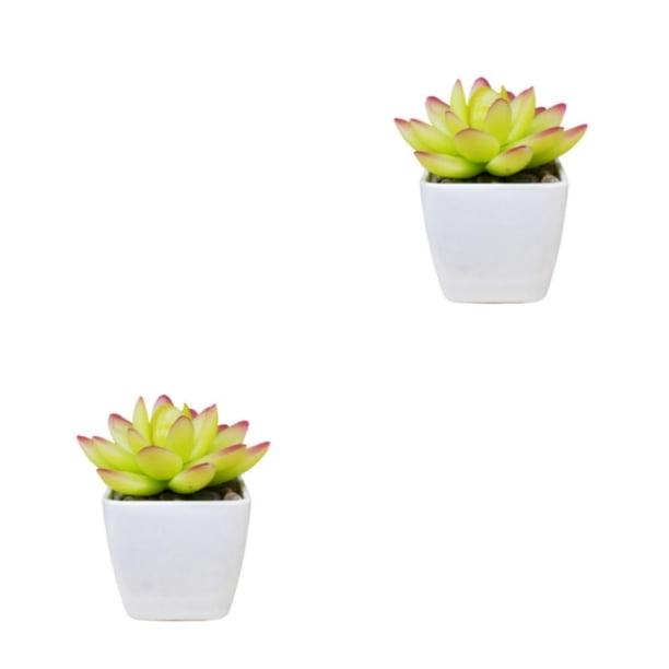 Plantas Artificiales Suculentas Mini Bonsai Inteprter Maceta