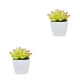 thumbnail image 4 of Advancent Simulación de suculentas, Mini maceta para bonsái, flores falsas, maceta decorativa para el hogar, , jardín, boda, sala de estar, tipo3 2Conjunto, 4 of 6