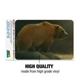 thumbnail image 3 of Grizzly Bear in the Morning Glow Home Business Office Sign, 3 of 7
