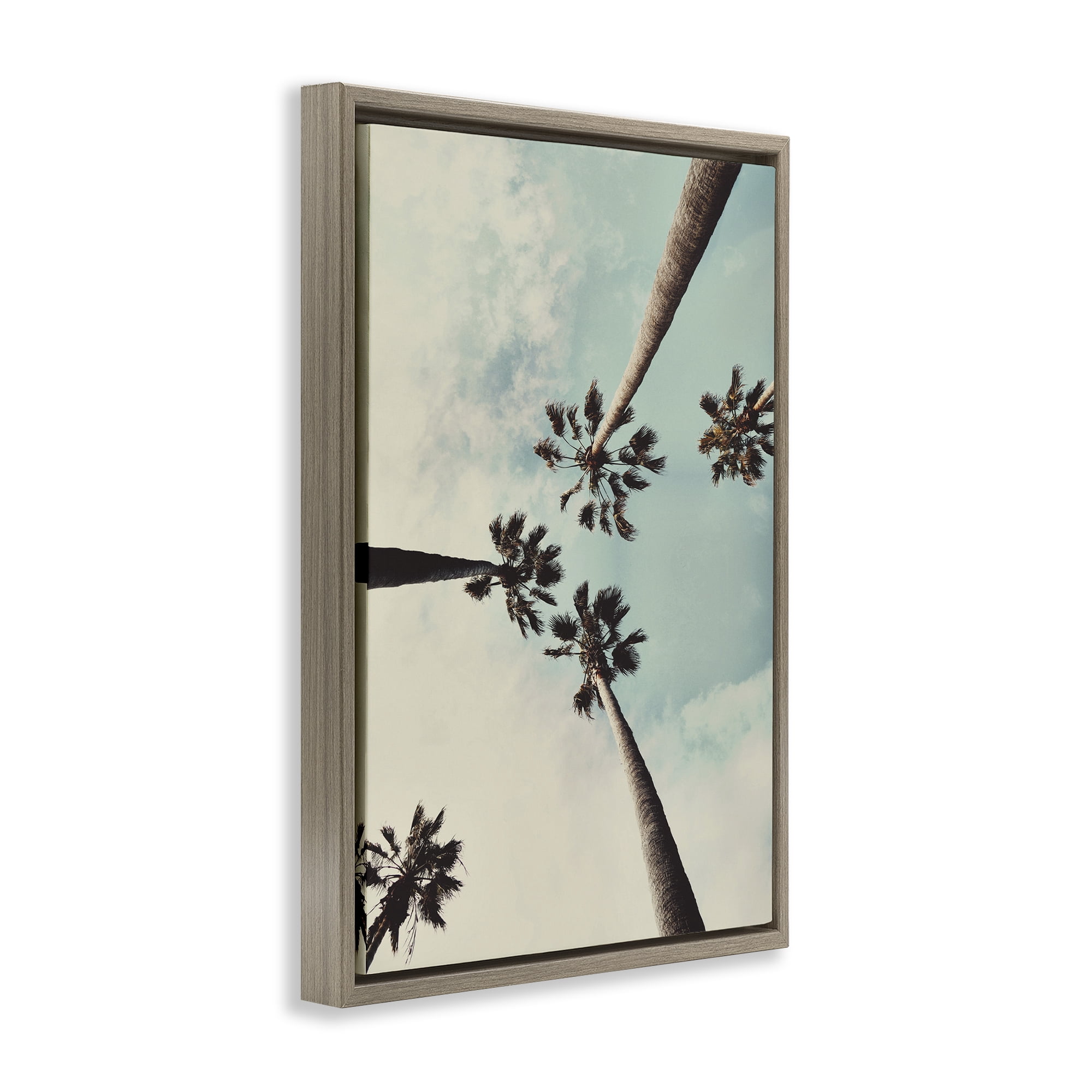Stupell Industries Centric Tropical Palms Botanical & Floral Photography Brown Floater Framed Canvas Art Print Wall Art, 17 x 25