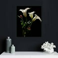 thumbnail image 4 of RUIYC Black and White Flower Wall Art Tulip Lily Floral Picture Poster Lily Canvas Print Botanical Wall Decor for Living Room, 4 of 4
