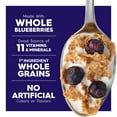 thumbnail image 5 of Special K Cold Breakfast Cereal, 11 Vitamins and Minerals, Made With Real Blueberries, Family Size, Blueberry, 16.9oz Box (1 Box), 5 of 13
