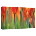 thumbnail image 2 of ArtWall Cora Niele "Orange Tulip" Gallery-Wrapped Canvas, 2 of 2