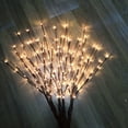 thumbnail image 4 of CNKOO Artificial Branch 20LEDs Light Battery Powered Willow Lighted Garden Home Decor, 4 of 8