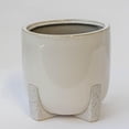 thumbnail image 1 of Set of 6 White With Speckled Feet Ceramic Planter, 1 of 1