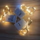 thumbnail image 3 of Cadena de luces LED de tres funciones, caja de regalo para pastel, ramo, cadena de luces, luces blancas cálidas con luces de colores, 3 of 5