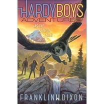 Hardy Boys Adventures As the Falcon Flies, Book 24, (Paperback)