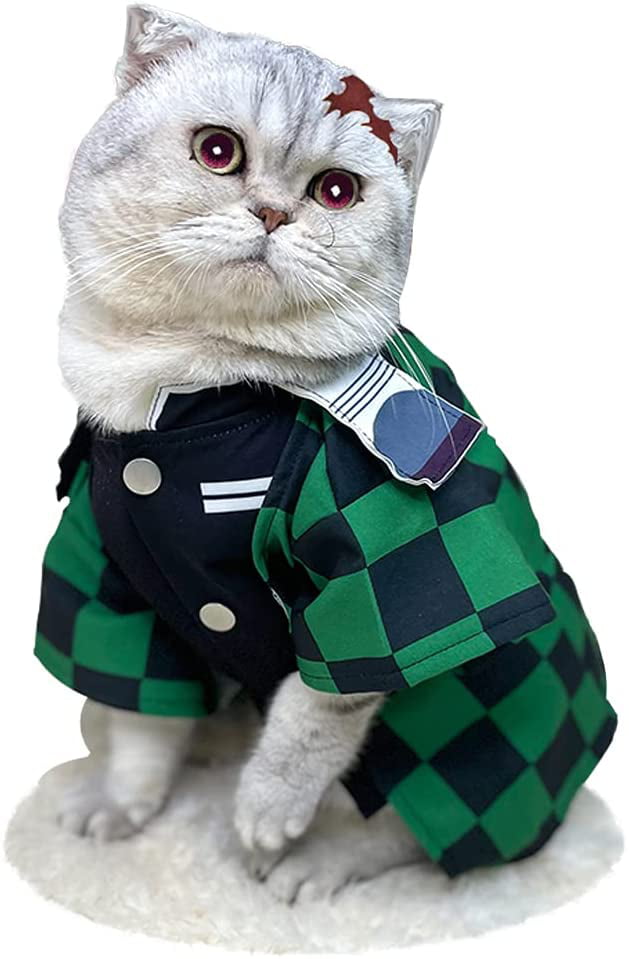 The Japanese cat with over 100 cosplay costumes  SoraNews24 Japan News