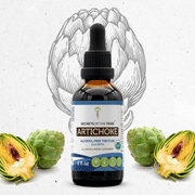 Secrets Of The Tribe Artichoke Organic Tincture Dietary Supplement, Natural Herbal Extract for Liver Support, Certified Organic Artichoke (Cynara scolymus) Dried Leaf, Alcohol-Free Extract, Drops 2oz