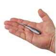 thumbnail image 3 of Gulp!® Minnow, 3 of 9