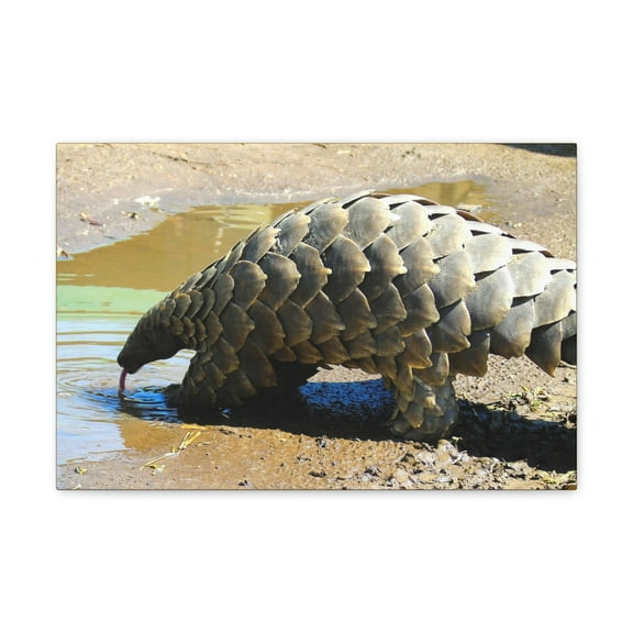 Funny Pangolin Silly African Tree Pangolin Outside Wall Art Ready to Hang Unframed