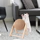 thumbnail image 5 of Pelota para rascar para gatos, juguete interactivo de entrenamiento, resistente al desgaste M, 5 of 9