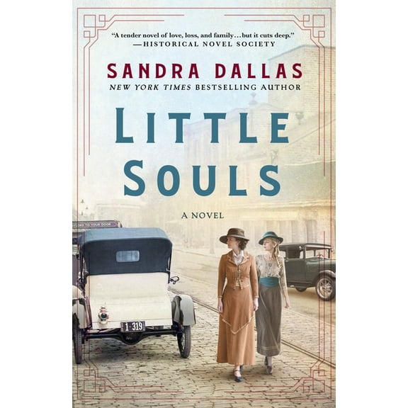 Little Souls : A Novel (Paperback)