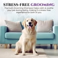 thumbnail image 6 of Natural Dog Shampoo for Itchy and Sensitive Skin (Lavender), 6 of 9