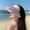 Pink, variant on JingChun Fan Hat Outdoor Fan, Sun Visors Hat with Fan, USB Rechargeable Hat with Fan, Cooling Fan Hats for Women, Large Area Sun Protection for Hot Summer