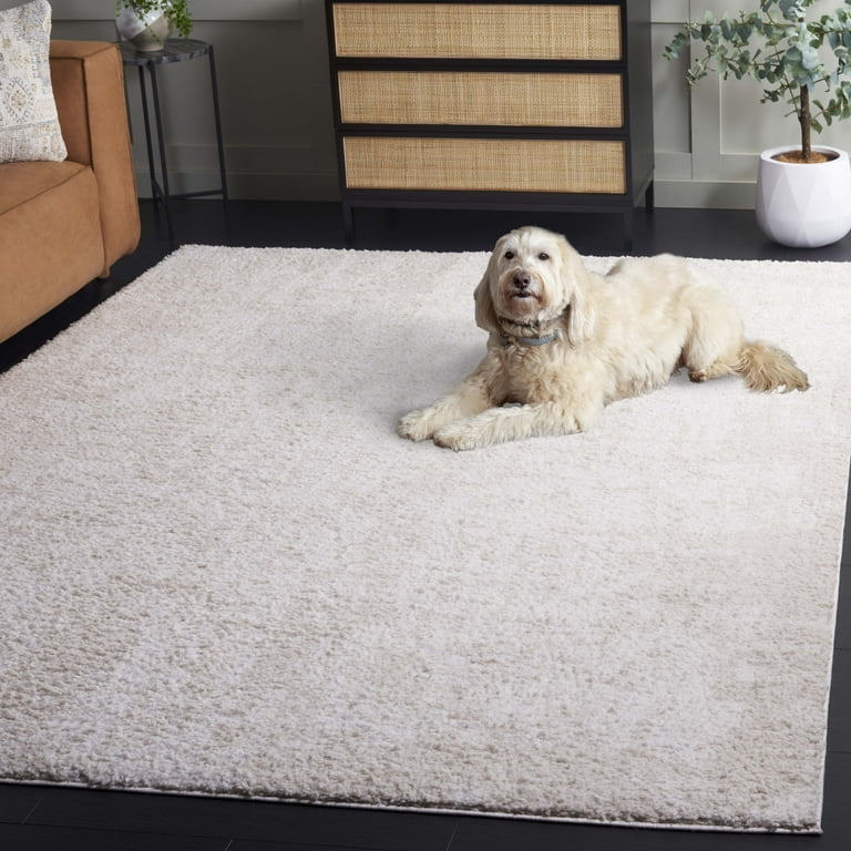 Safavieh Rumi Shag Rug