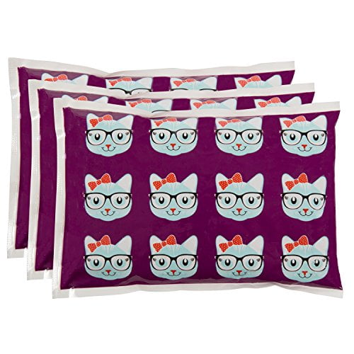 - Owl Design 858688005400 Ice Pack for Lunch Boxes 6"x4.5" 3 Pack by Bentology 