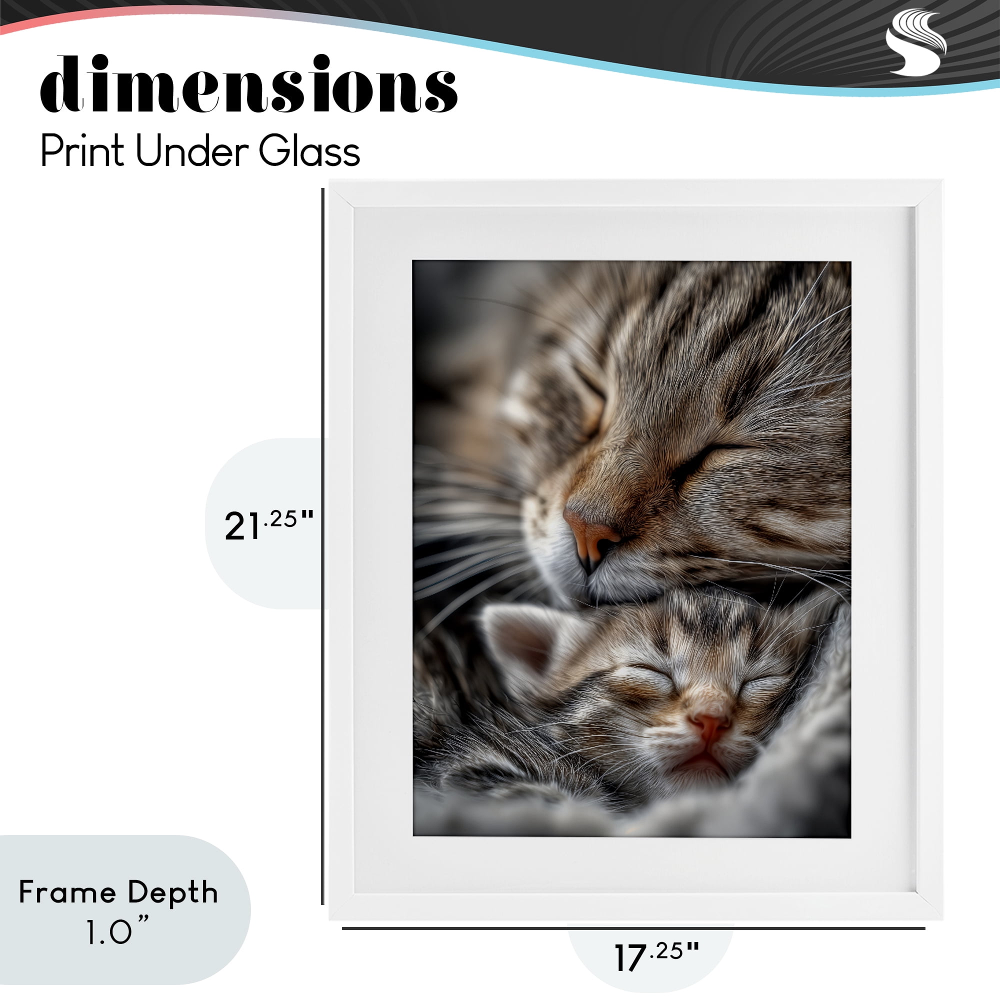Stupell Industries Kitty Love Cuddles White Framed Print Under Glass, design by Scott Stulberg