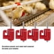 thumbnail image 4 of Bebedero Con Tetina Para Pollos, Bebedero Con Tetina De Agua Para Aves De Corral, Accesorios Para Exteriores Para Pollos, Duradero Y Confiable, 30 Uds., 4 of 8