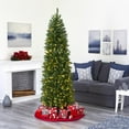 thumbnail image 4 of Nearly Natural 6.5ft. Slim Green Mountain Pine Artificial Christmas Tree with 300 Clear LED Lights, 4 of 8