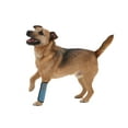 thumbnail image 3 of Pet Life ® 'Extreme-Neoprene' Joint Protective Safety Recovery and Reflective Pet Dog Sleeves - Set of 4, 3 of 5