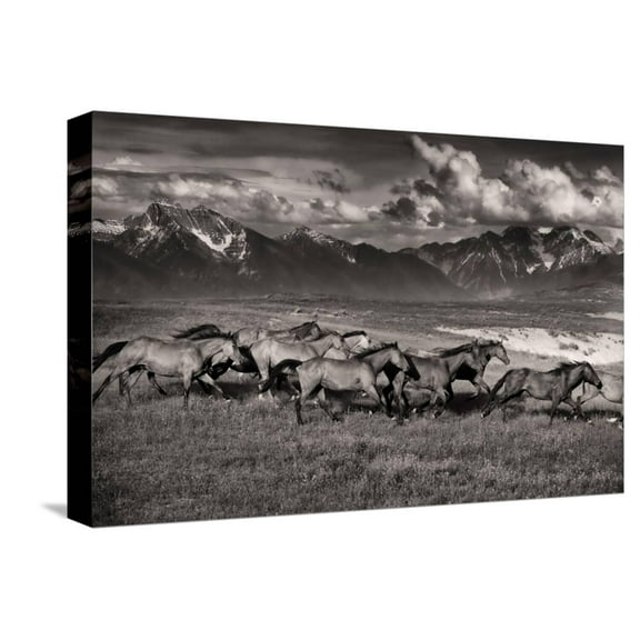 Art.com Mountain Range Mavericks Stretched Canvas Print Wall Art by Lisa Dearing, 18" x 12"