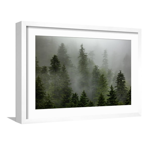 Art.com Alaska Photographic Print by Art Wolfe, White Frame Wall Art, 23" x 17"