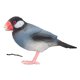 thumbnail image 2 of Figura De Pájaro, Modelo De Pájaro Vívido, Plástico Seguro Para Aprender, 2 of 8