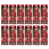 Hosley 120 PCs Bulk Pack Mountain Berry Fragrance Highly Scented Tea Light Candle. Ideal for Wedding Church Vigil Emergency Lanterns Spa Aromatherapy Party Reiki Candle Garden