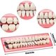 thumbnail image 5 of Juegos de Dientes Postizos de Resina Acrílica Dientes Postizos Dentadura Postiza Dientes de Terror de Halloween Dientes Superiores e Inferiores de Resina Sintética para Cosplay, 112 Piezas, 5 of 5