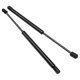thumbnail image 2 of 2Pcs Front Hood Lift Support Strut Spring Shock Damper for Infiniti Q50 2014-2018 65470-46A0A 6801 PM3369, 2 of 5