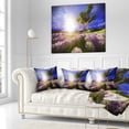 thumbnail image 2 of Designart Lavender Field under Blue Sky - Modern Landscape Printed Throw Pillow - 16x16, 2 of 4