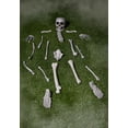thumbnail image 5 of Bag of Bones Halloween Decoration, 5 of 5