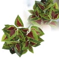 thumbnail image 1 of zhangmingg Greenery Wall Outdoor Decorative Arrangement for Landscaping and Patio Design, 1 of 4