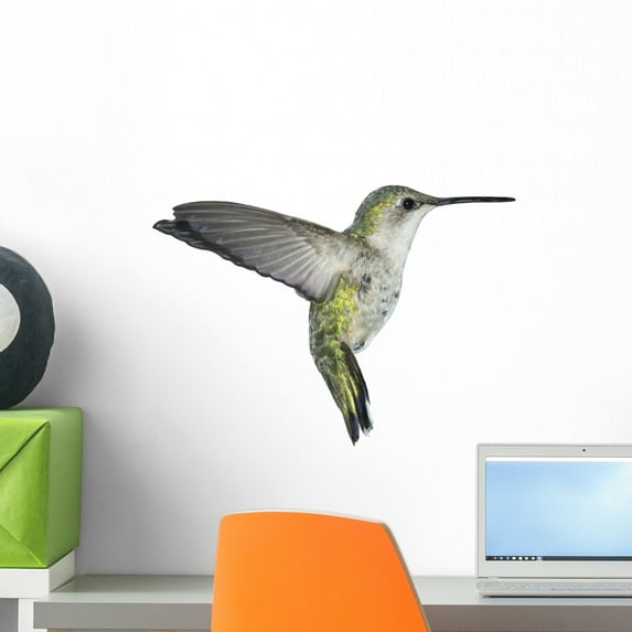 Flying Ruby-throated H)ummingbird White Wall Decal Sticker by Wallmonkeys Vinyl Peel and Stick Graphic (18 in W x 13 in