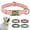 Pink, variant on Didog Soft Leather Personalized Dog Collar Custom Brass Nameplate Engraved Small/Large