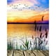 thumbnail image 1 of Wdftyju Cuadro al óleo pintado a mano, pintura de pájaros del lago anochecer por números en lienzo, obra de arte DIY Wdftyju 5mq0vz1vr6uz8pv2, 1 of 9